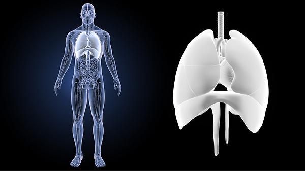 老年人简单患病怎么办？5个自我维护应对方法